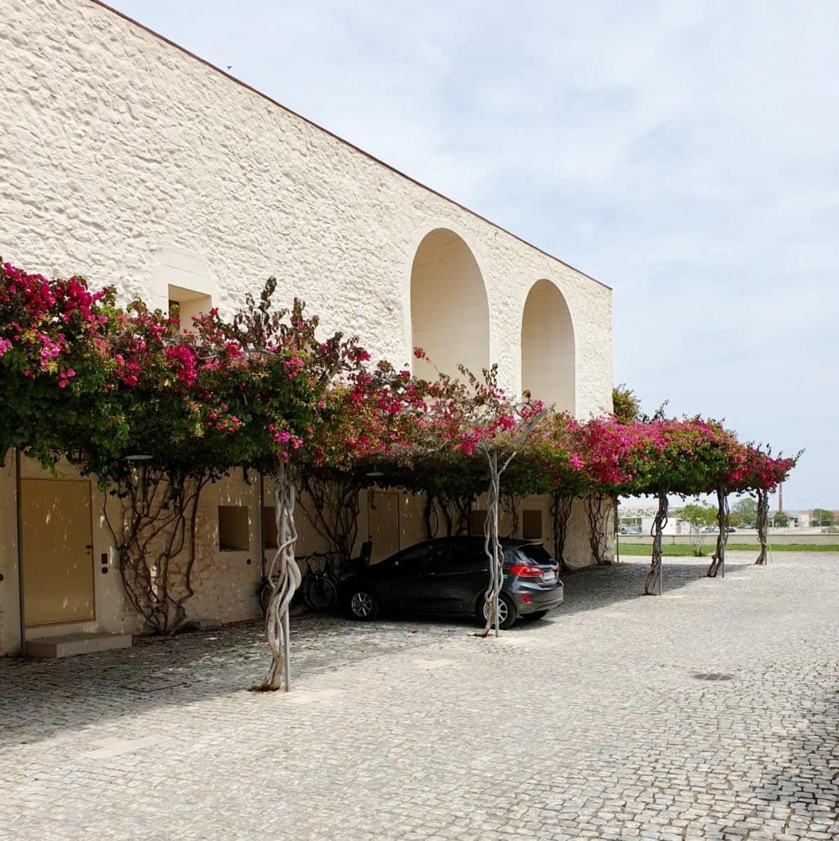 Convento Bernadas Apartment *